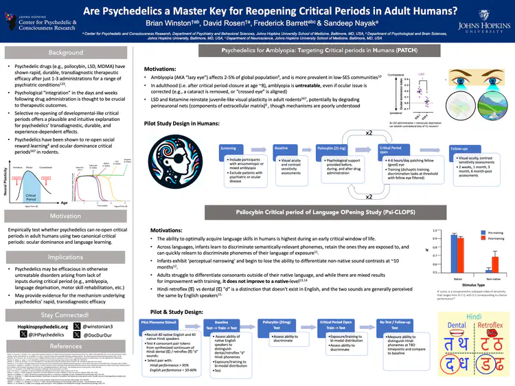 combined_critical_periods_poster.png